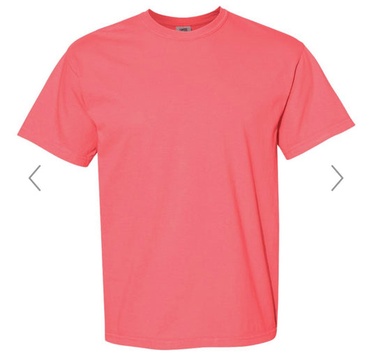 4X WATERMELON COMFORT COLORS-GARMENT-DYED HEAVYWEIGHT T-SHIRT-1717