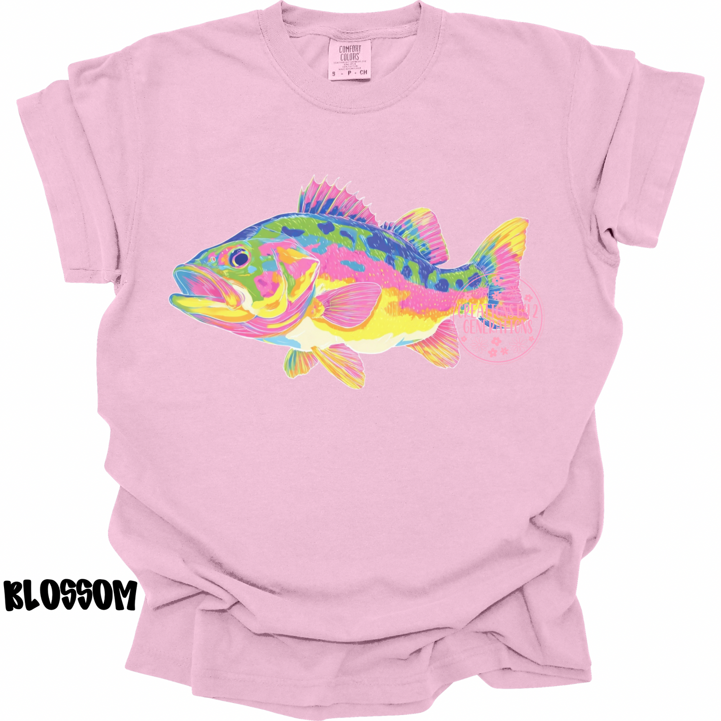COLORFUL SINGLE BASS PREORDER