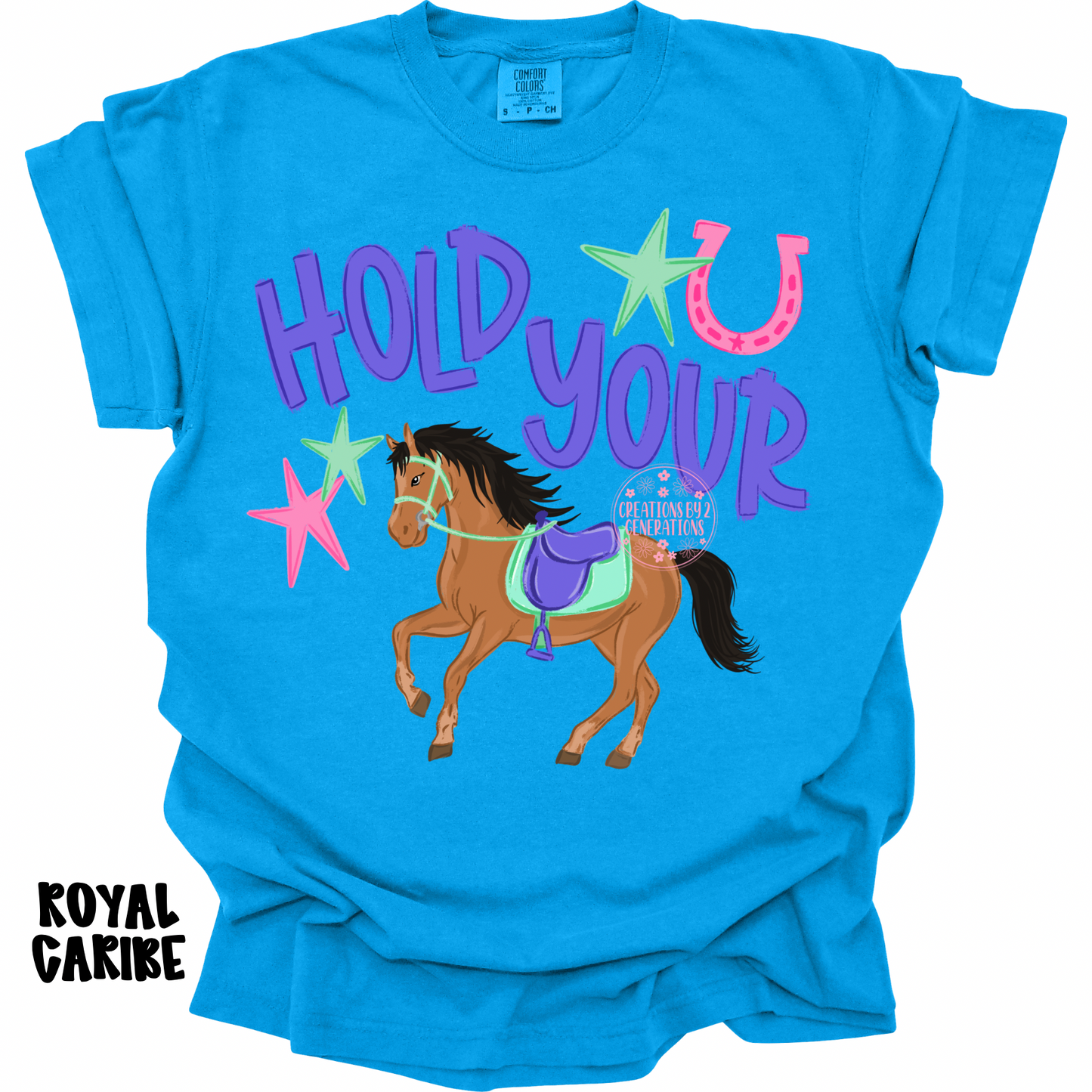 HOLD YOUR HORSES PURPLE/PINK PREORDER (YOUTH)