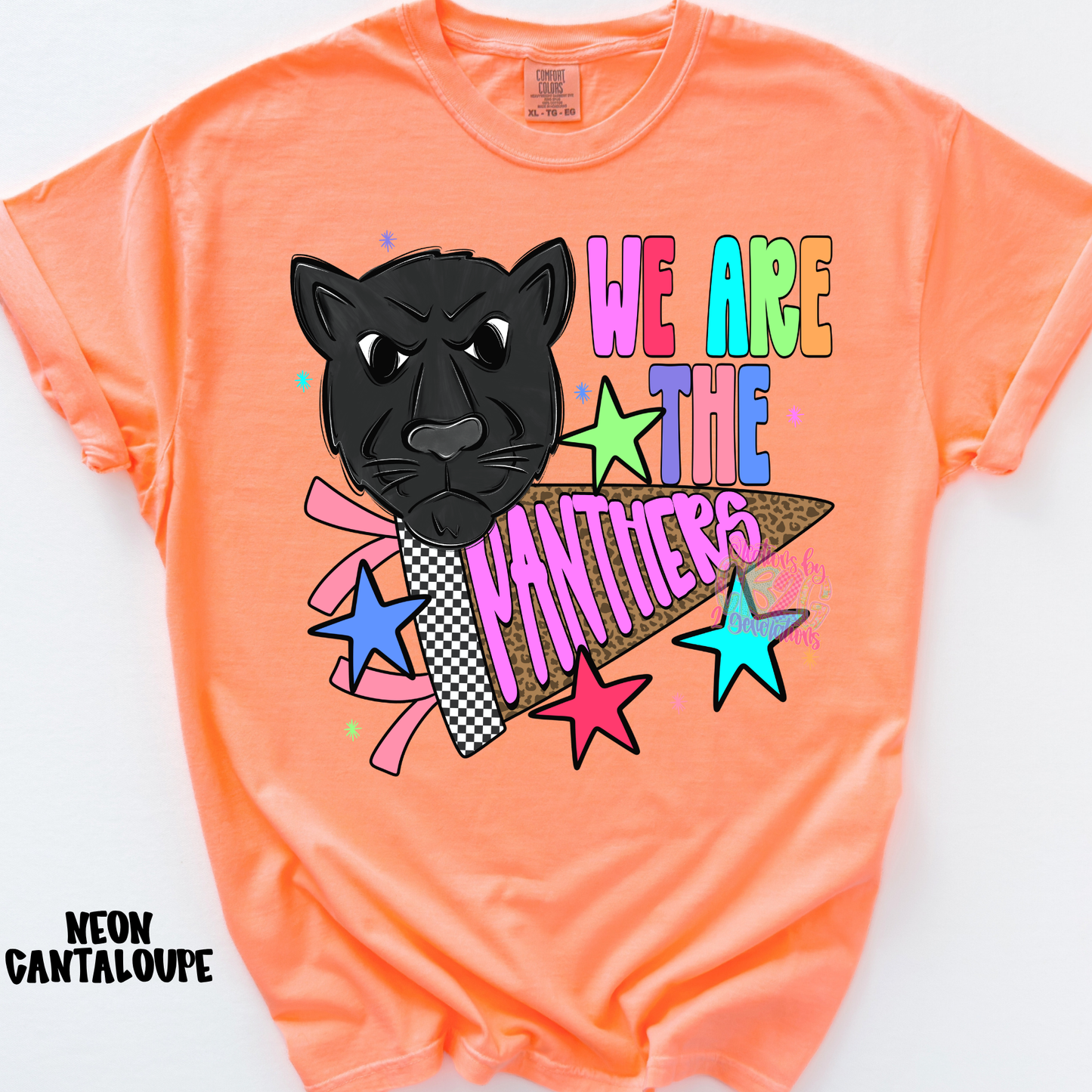 WE ARE THE PANTHERS COLORFUL WITH BANNER PREORDER