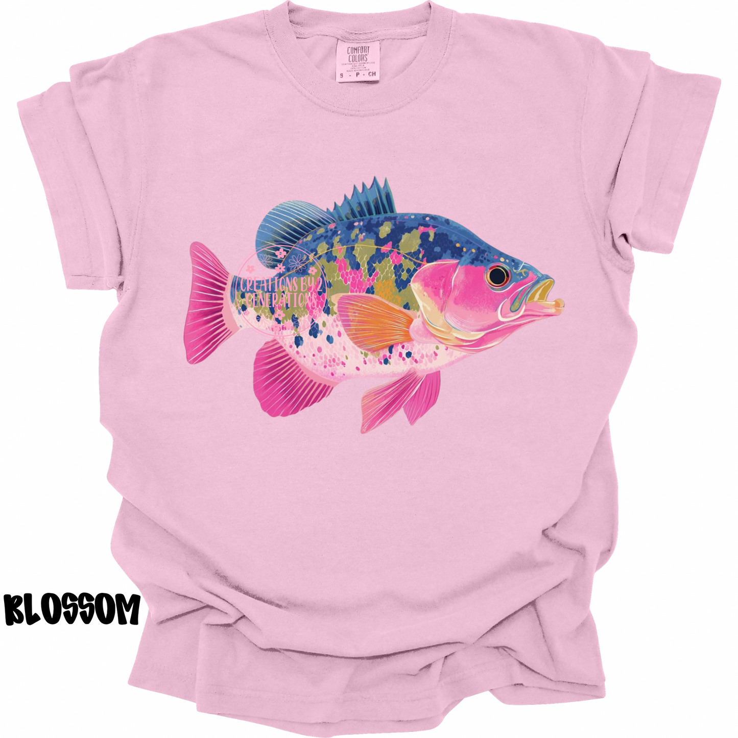 COLORFUL SINGLE CRAPPIE PREORDER
