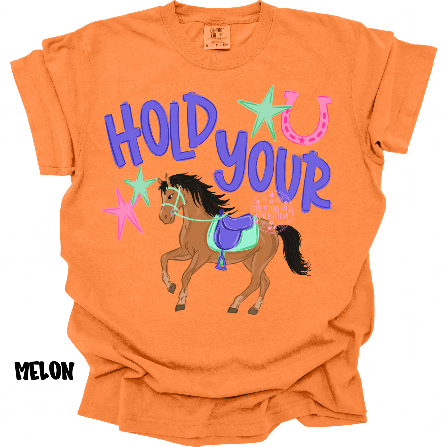 HOLD YOUR HORSES PURPLE/PINK PREORDER (YOUTH)