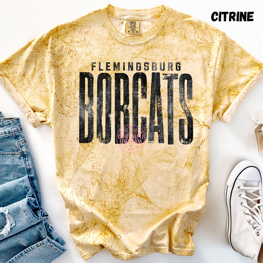 FLEMINGSBURG BOBCATS