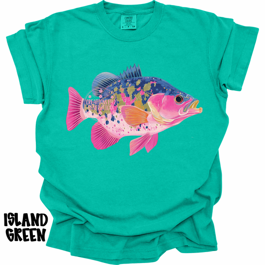 COLORFUL SINGLE CRAPPIE PREORDER (YOUTH)