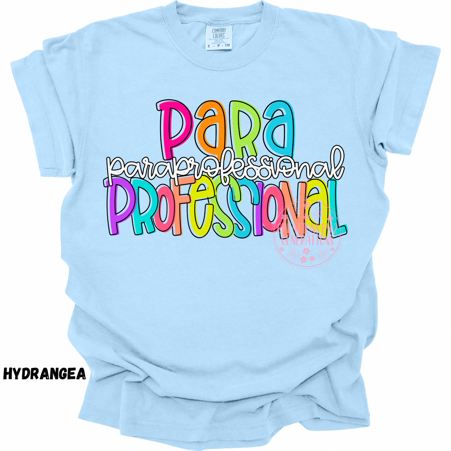 PARA PROFESSIONAL COLORFUL PREORDER