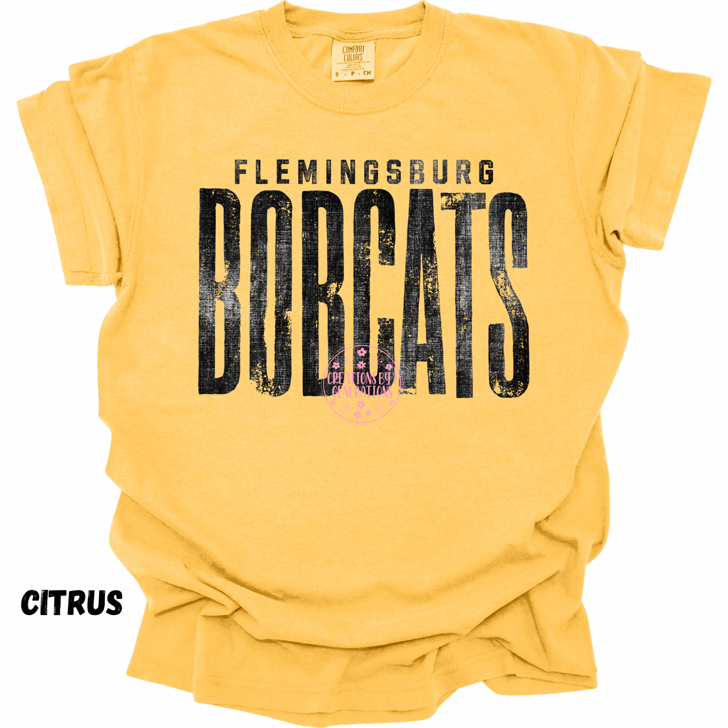 FLEMINGSBURG BOBCATS