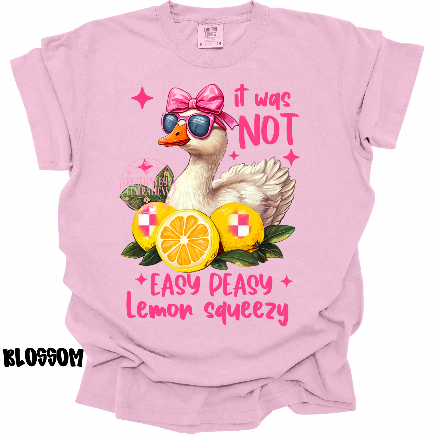 IT WAS NOT EASY PEASY LEMON SQUEEZY GOOSE PREORDER (YOUTH)