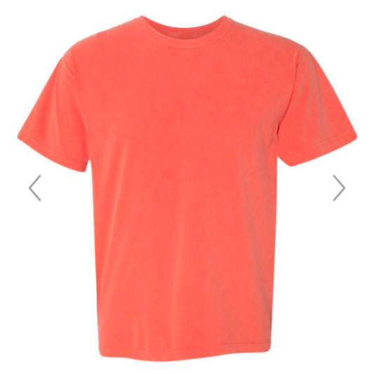 2X BRIGHT SALMON COMFORT COLORS-GARMENT-DYED HEAVYWEIGHT T-SHIRT-1717