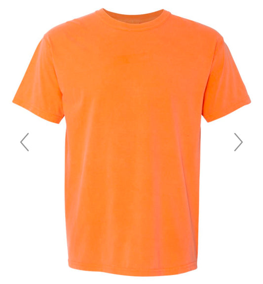 2X MELON COMFORT COLORS-GARMENT-DYED HEAVYWEIGHT T-SHIRT-1717