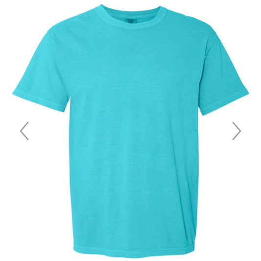 LARGE LAGOON COMFORT COLORS-GARMENT-DYED HEAVYWEIGHT T-SHIRT-1717