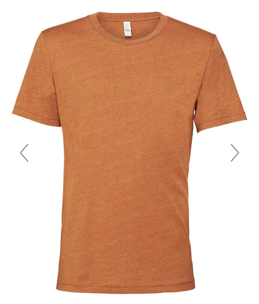 LARGE HEATHER AUTUMN BELLA + CANVAS - CVC JERSEY TEE - 3001 CVC