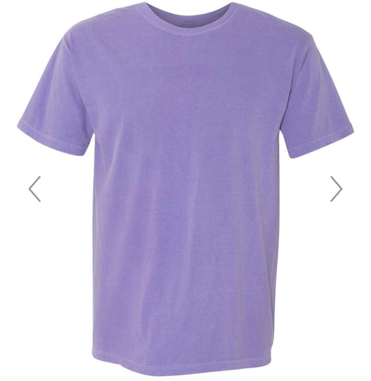 LARGE VIOLET COMFORT COLORS-GARMENT-DYED HEAVYWEIGHT T-SHIRT-1717